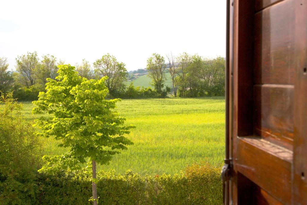 Locanda Il Girasole Ancona Rom bilde